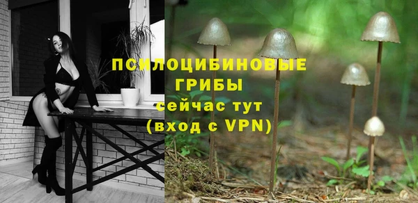 герыч Богородск