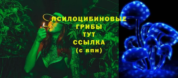 марки lsd Богданович
